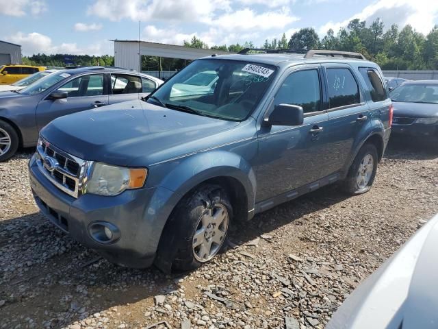 2011 Ford Escape XLT