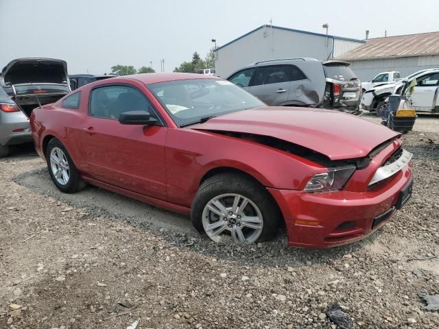 2013 Ford Mustang