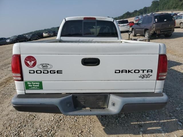 2004 Dodge Dakota SXT