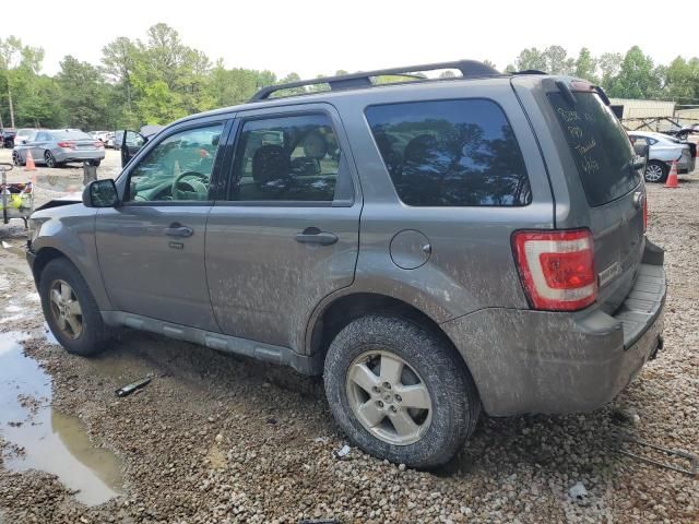 2011 Ford Escape XLT