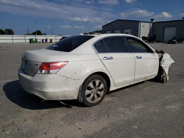 2010 Honda Accord EXL