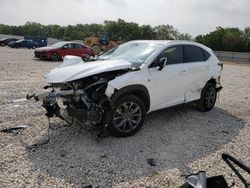 Salvage cars for sale at New Braunfels, TX auction: 2021 Lexus NX 300 Base