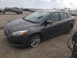 Ford Focus SE salvage cars for sale: 2017 Ford Focus SE