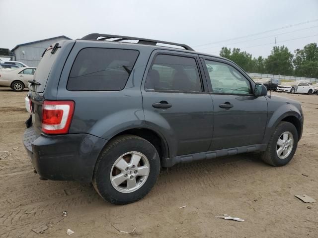 2009 Ford Escape XLT