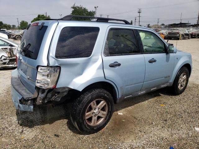 2008 Ford Escape HEV