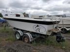 1980 Bayliner Boat