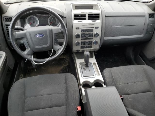 2009 Ford Escape XLT