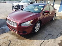 Salvage cars for sale at Memphis, TN auction: 2010 Nissan Maxima S