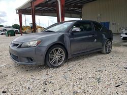 Salvage cars for sale at Homestead, FL auction: 2013 Scion TC