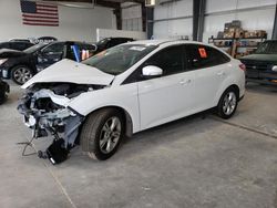 Salvage cars for sale at Greenwood, NE auction: 2014 Ford Focus SE