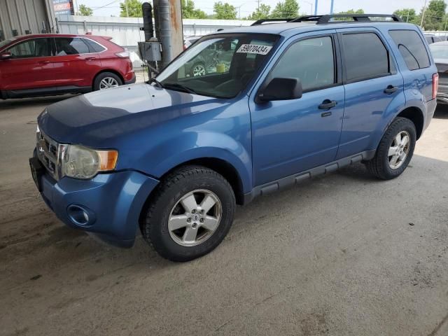 2009 Ford Escape XLT