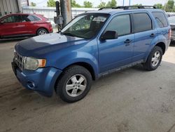 Salvage cars for sale at Fort Wayne, IN auction: 2009 Ford Escape XLT