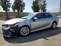 Salvage cars for sale from Copart Rancho Cucamonga, CA: 2023 Toyota Camry LE