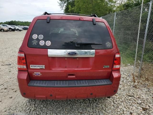 2011 Ford Escape Limited