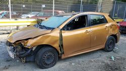 Toyota Corolla Matrix salvage cars for sale: 2009 Toyota Corolla Matrix