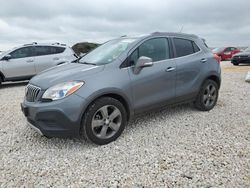 Salvage cars for sale at Taylor, TX auction: 2014 Buick Encore