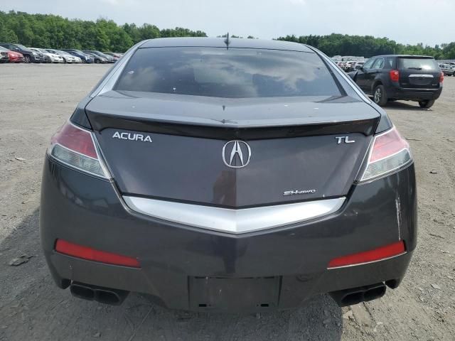 2010 Acura TL