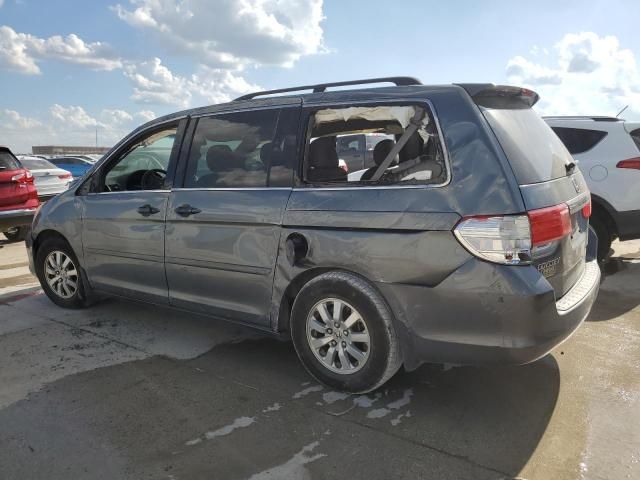 2010 Honda Odyssey EXL