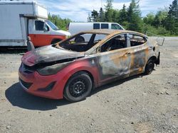 Salvage cars for sale at Elmsdale, NS auction: 2016 Hyundai Elantra SE