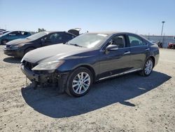 Salvage cars for sale at Antelope, CA auction: 2010 Lexus ES 350