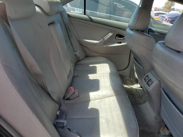 2009 Toyota Camry Hybrid