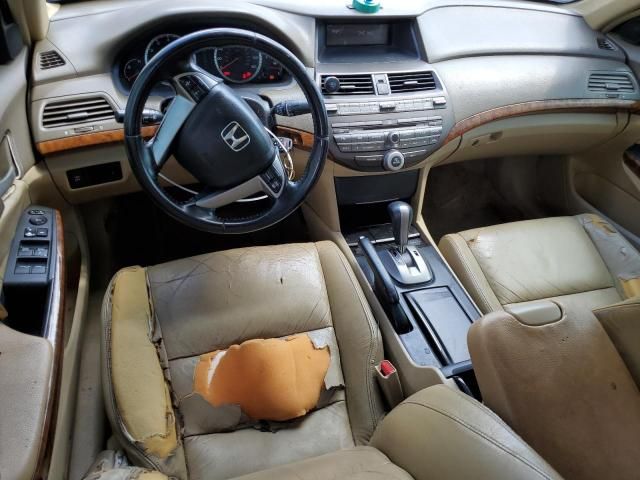 2009 Honda Accord EXL