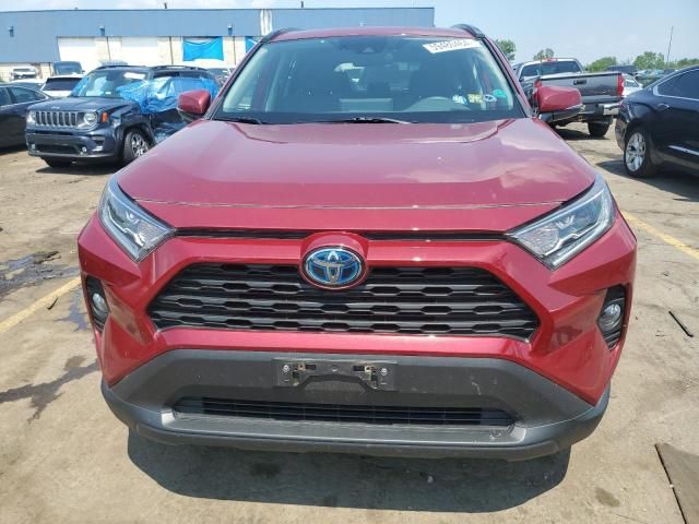 2019 Toyota Rav4 XLE