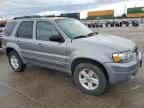 2007 Ford Escape HEV