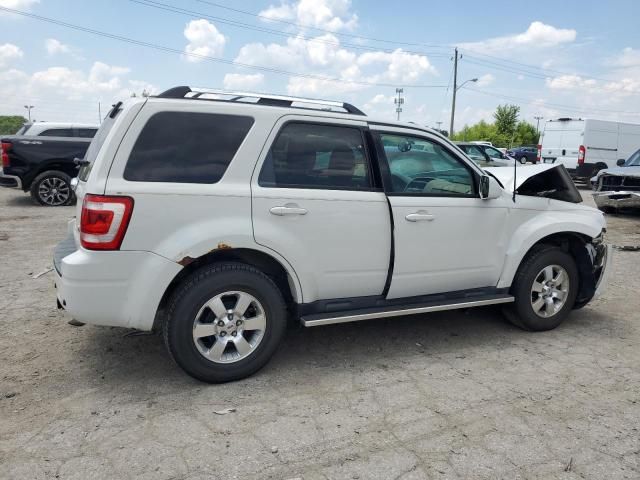 2011 Ford Escape Limited