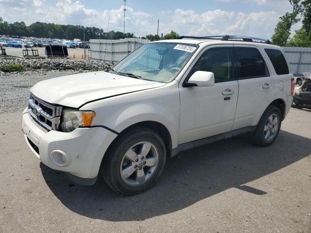 2011 Ford Escape Limited