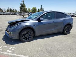 Tesla salvage cars for sale: 2023 Tesla Model Y