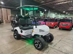 Salvage trucks for sale at Chicago Heights, IL auction: 2024 Other 2024 Tiazhou Golf Cart