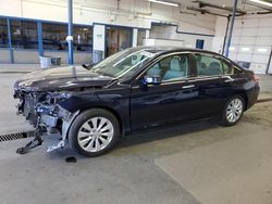 Honda salvage cars for sale: 2014 Honda Accord EXL