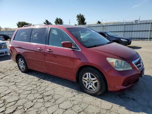 2005 Honda Odyssey EXL