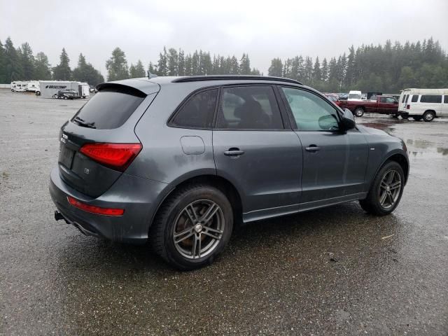 2014 Audi Q5 TDI Premium Plus