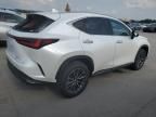 2024 Lexus NX 350H Base