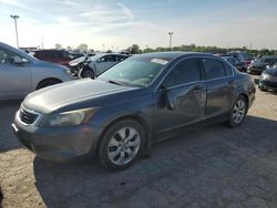 Salvage cars for sale at Indianapolis, IN auction: 2010 Honda Accord EX