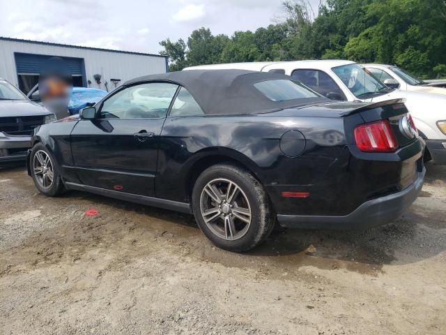 2010 Ford Mustang