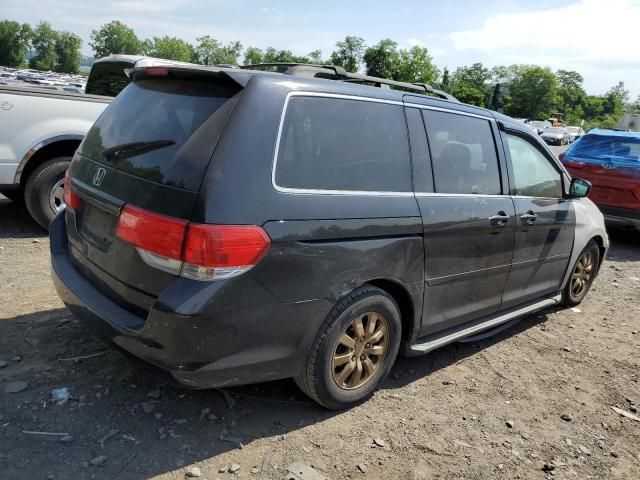 2008 Honda Odyssey EXL