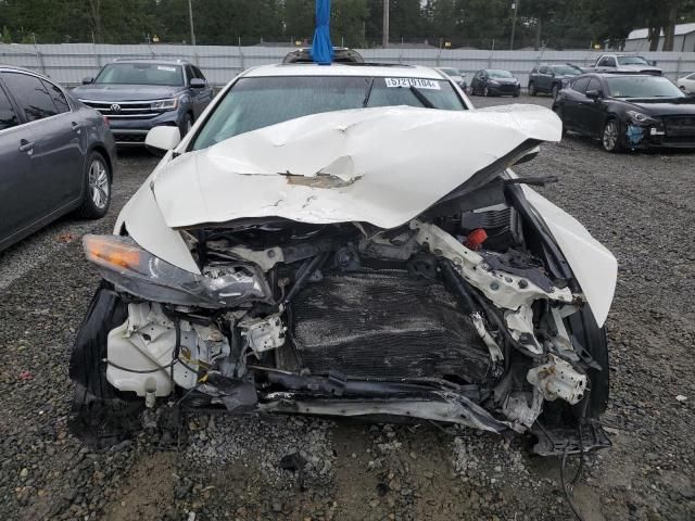 2010 Acura TSX