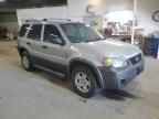 2006 Ford Escape XLT