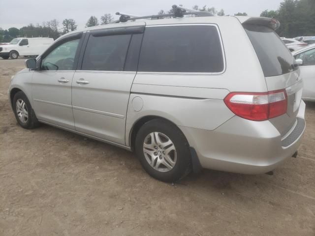 2005 Honda Odyssey EXL