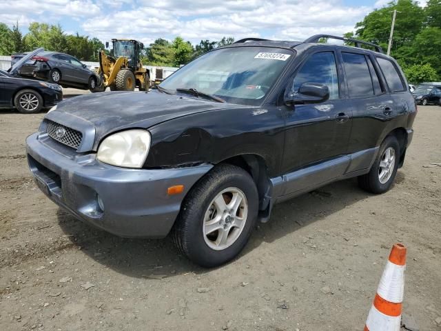 2004 Hyundai Santa FE GLS