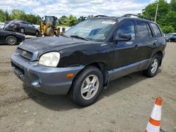 Hyundai Santa fe gls Vehiculos salvage en venta: 2004 Hyundai Santa FE GLS