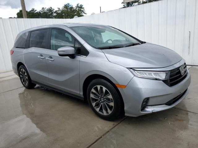 2024 Honda Odyssey EXL