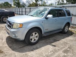 Ford Escape hev Vehiculos salvage en venta: 2008 Ford Escape HEV