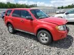 2009 Ford Escape XLS