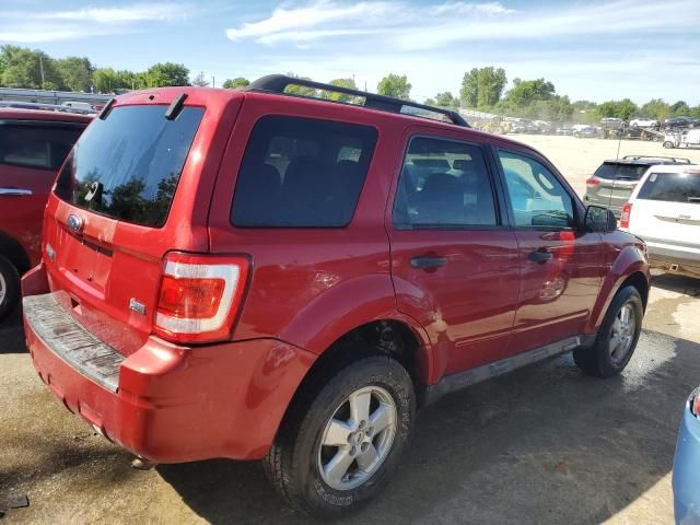 2010 Ford Escape XLT