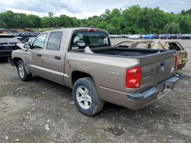 2009 Dodge Dakota SXT