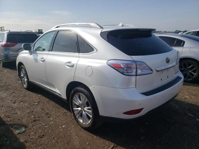 2011 Lexus RX 450